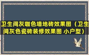 卫生间灰咖色墙地砖效果图（卫生间灰色瓷砖装修效果图 小户型）